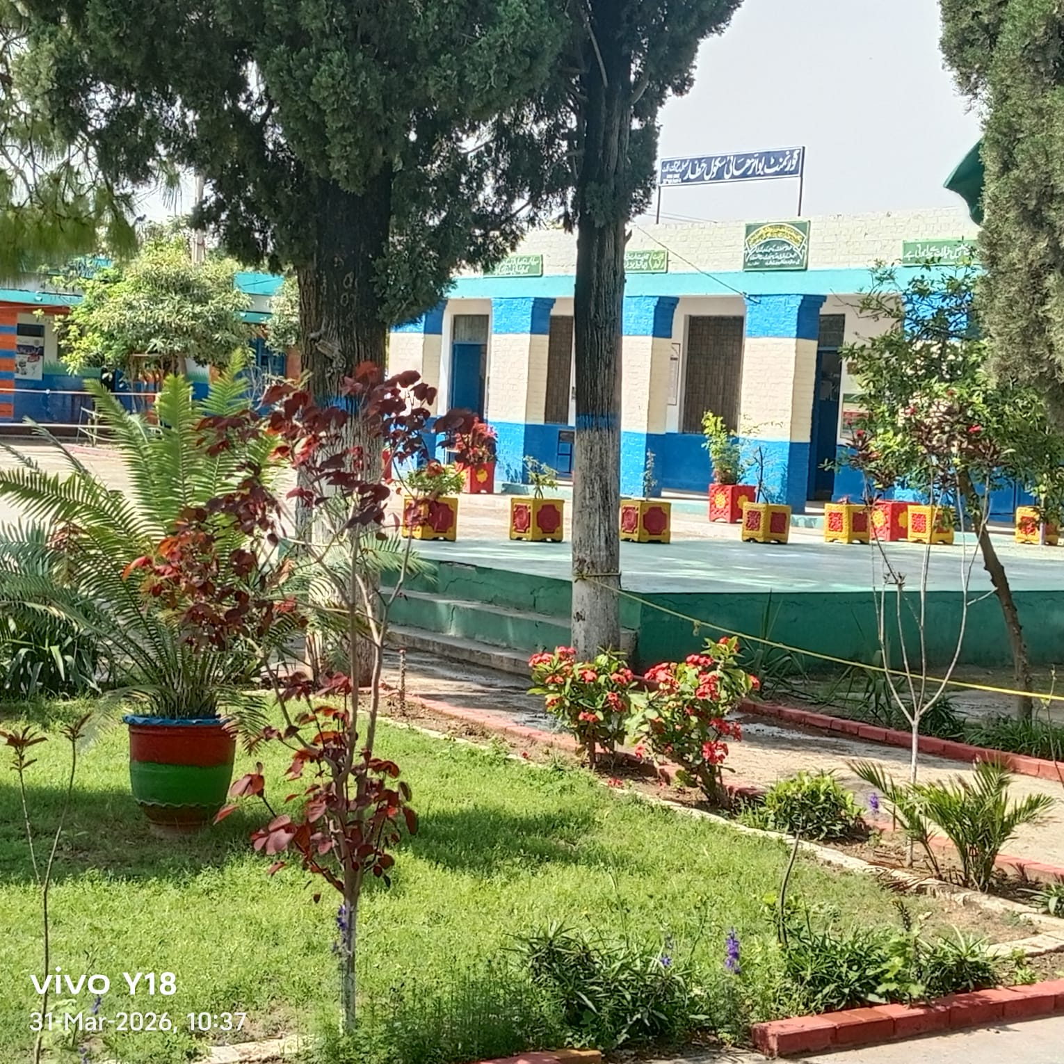 School garden